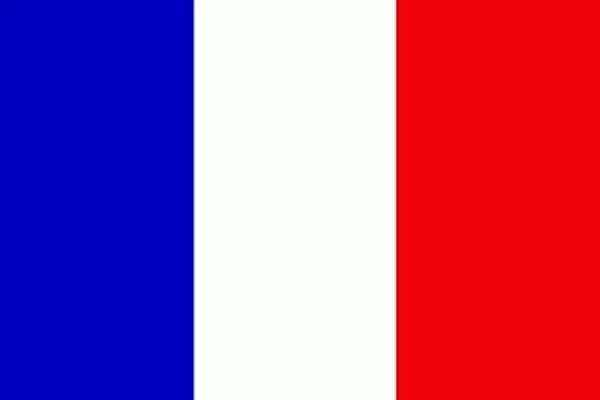 為巴黎祈福，濟南(nán)綠地最高樓亮起“法蘭西之色”